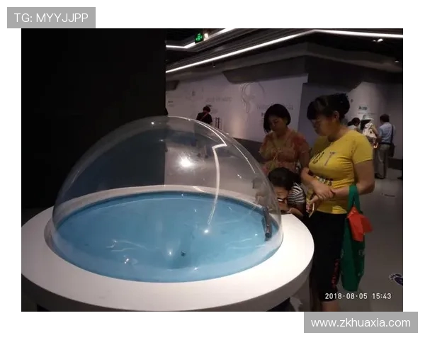 南京攀岩队技术揭秘：挑战极限的勇气与智慧之旅